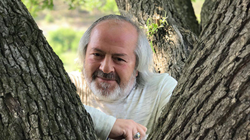 M. Hanefi İspirli