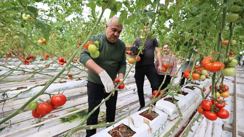 Aziziye’nin termal seralarında yeni dönem başladı