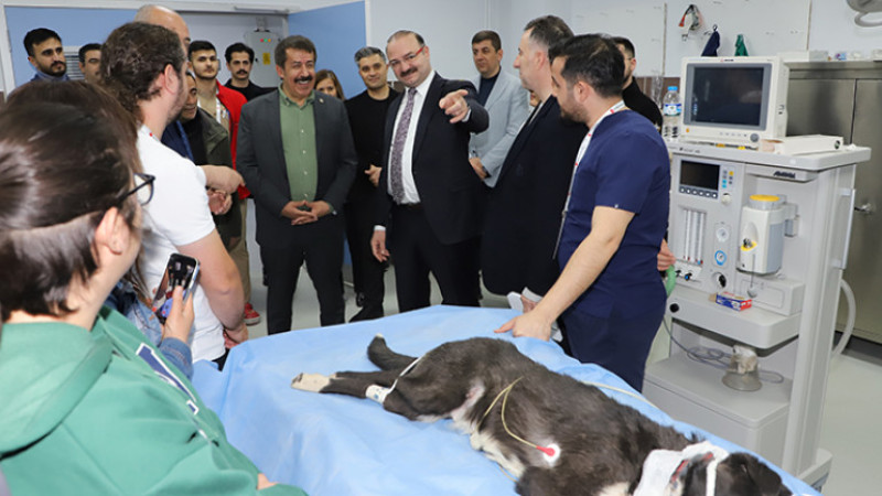 Milletvekili Fırat Hayvan Hastanesini gezdi bilgi aldı