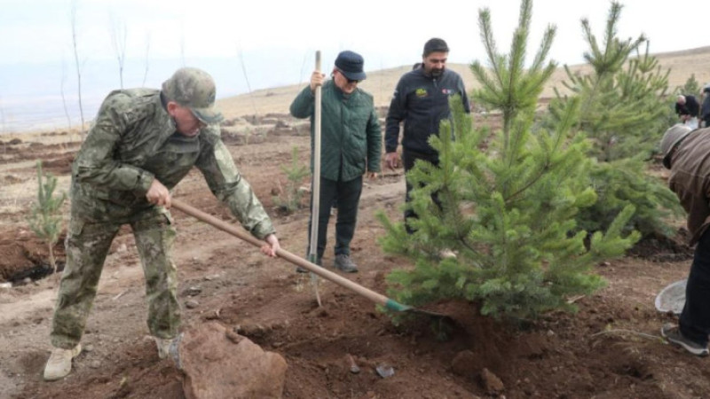 Şehit arkadaşlarının hatırasına ağaç diktiler