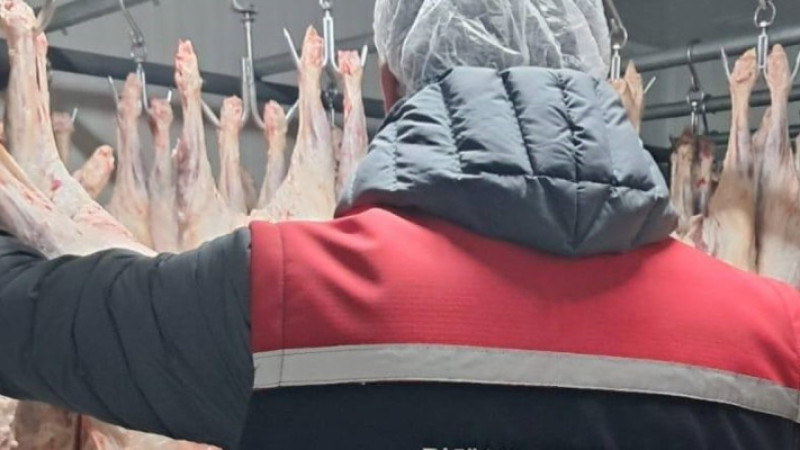 Gıda satışı yapan 201 işyeri denetlendi