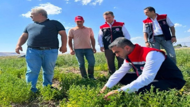 Tarımsal destekler Erzurum’da meyvesini veriyor